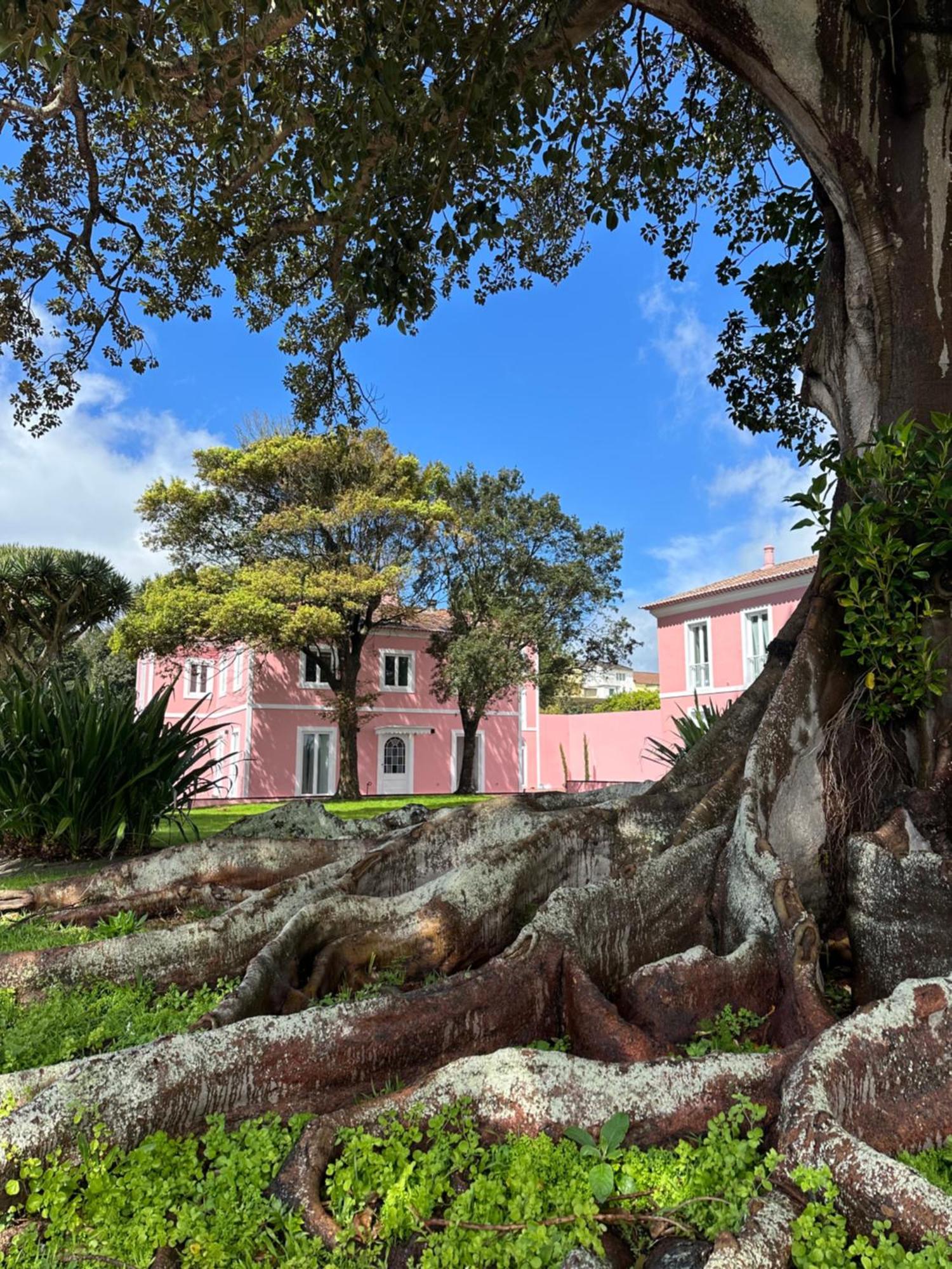 Solar Dos Cantos Botanic House & Garden Понта-Делгада Экстерьер фото