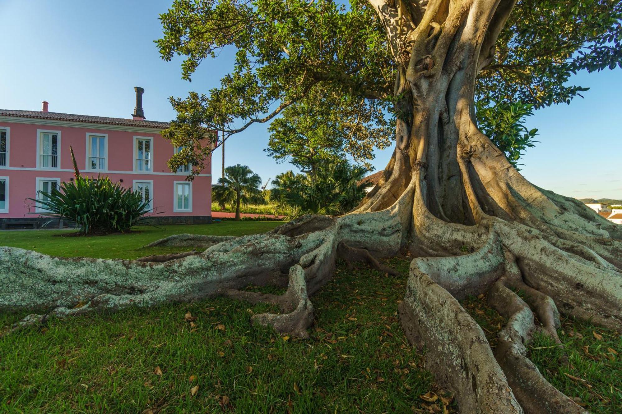 Solar Dos Cantos Botanic House & Garden Понта-Делгада Экстерьер фото