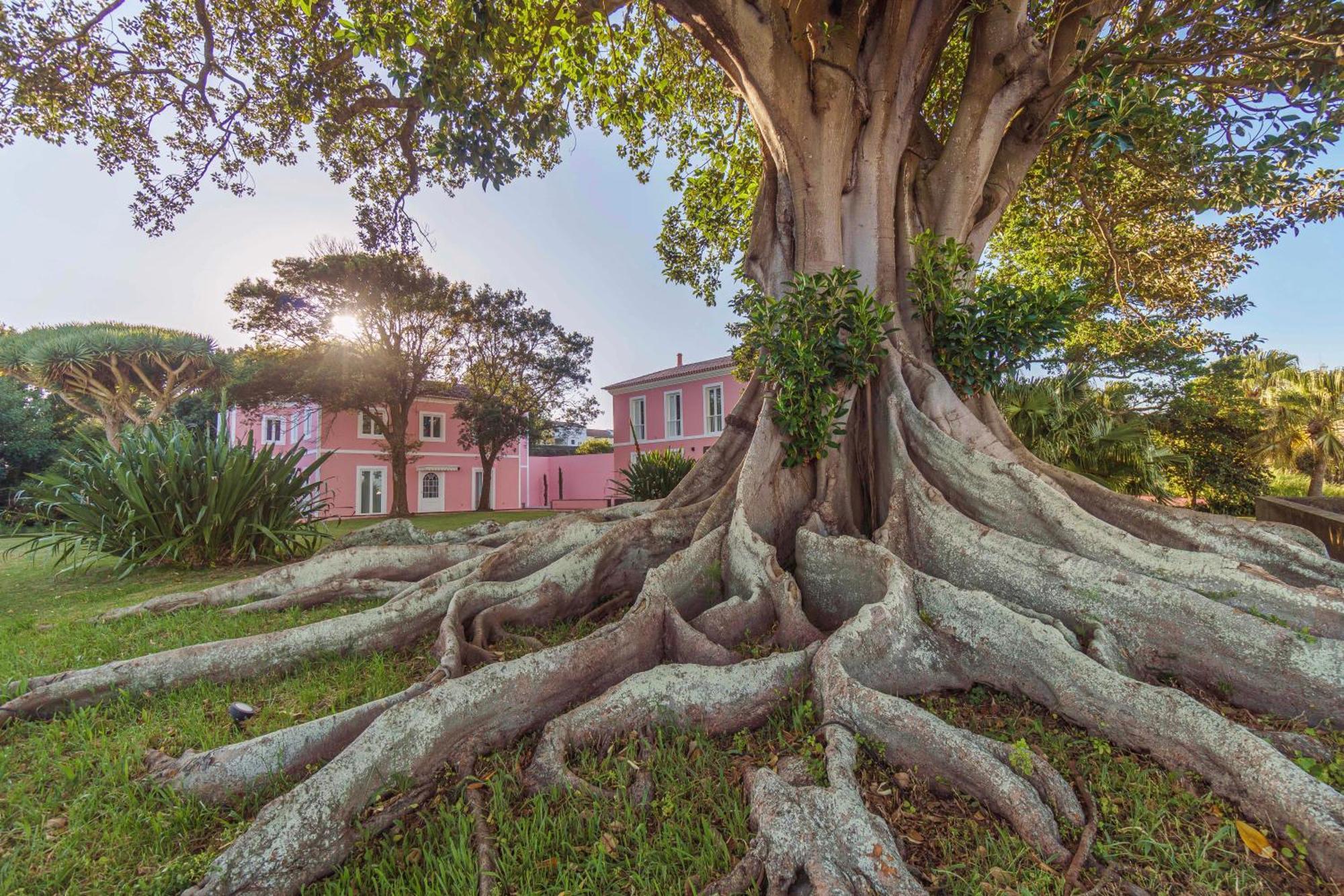 Solar Dos Cantos Botanic House & Garden Понта-Делгада Экстерьер фото